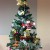 Christmas Has Arrived at the TNLP Trust!